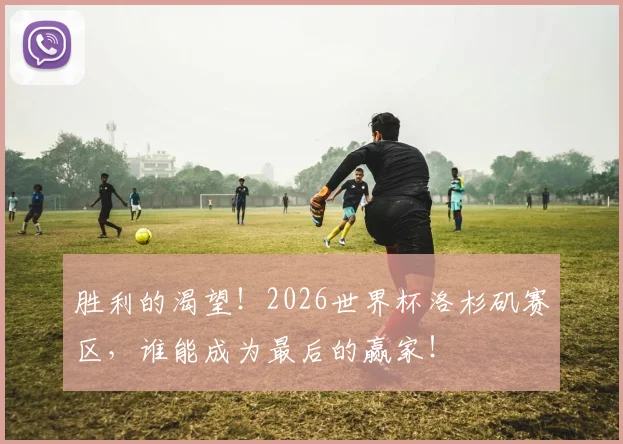 胜利的渴望！2026世界杯洛杉矶赛区，谁能成为最后的赢家！