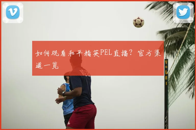 如何观看和平精英PEL直播?官方渠道一览