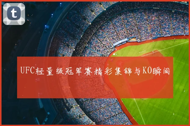 UFC轻量级冠军赛精彩集锦与KO瞬间